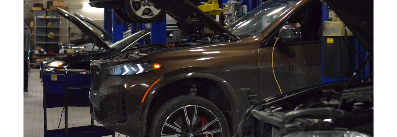Evans BMW wheel alignment
